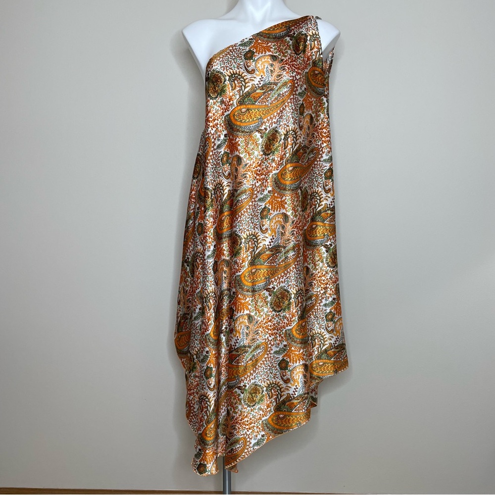 Kariza Elegant Paisley Single Ring Bohemian Dress with a long Matching Tie Belt - Picture 3 of 11